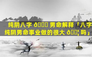 纯阴八字 🐎 男命解释「八字纯阴男命事业做的很大 🐦 吗」